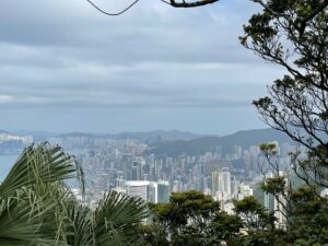 Hong Kong skyscrapers and woodland