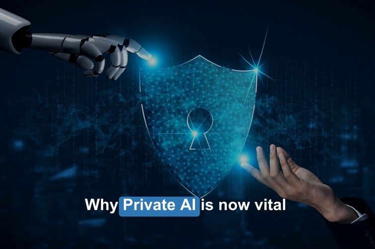 Why  Private AI is now vital